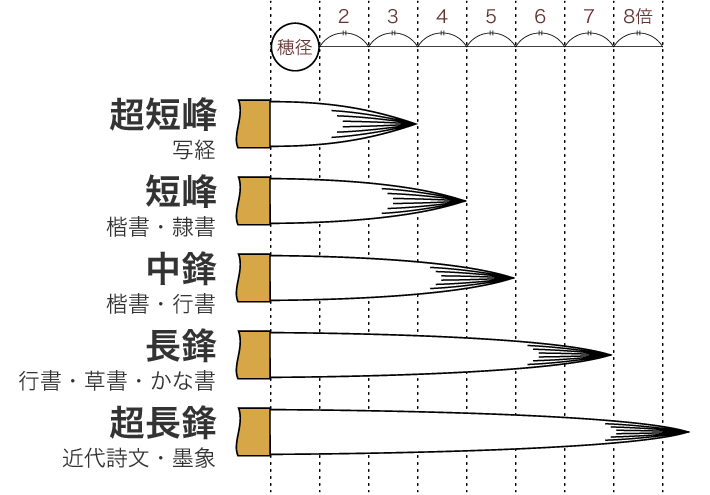 穂の直径と長さの関係図